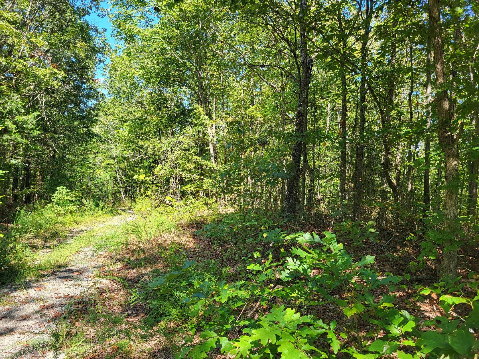 0.56 Acres of Land for Sale in Holladay, Tennessee