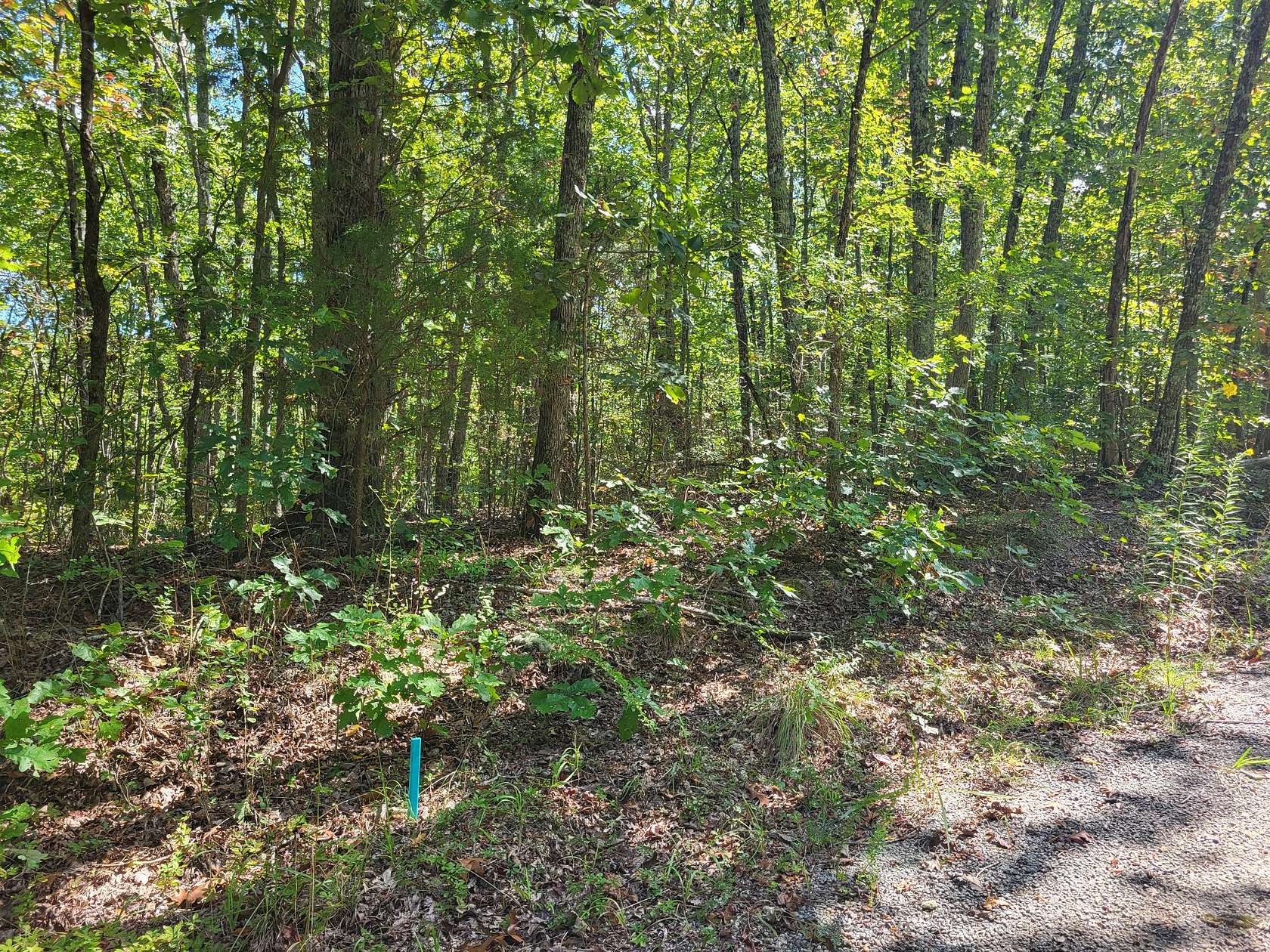 0.56 Acres of Land for Sale in Holladay, Tennessee