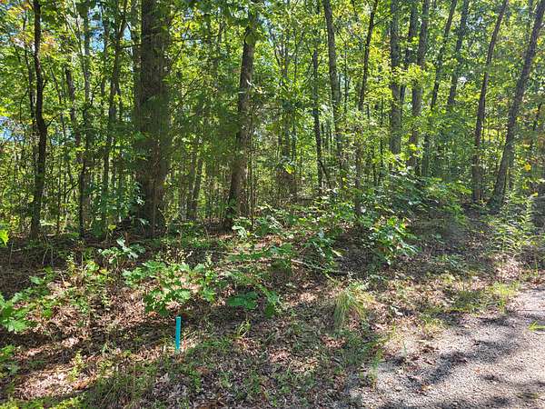 0.56 Acres of Land for Sale in Holladay, Tennessee