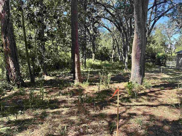 0.29 Acres of Residential Land for Sale in Tallahassee, Florida