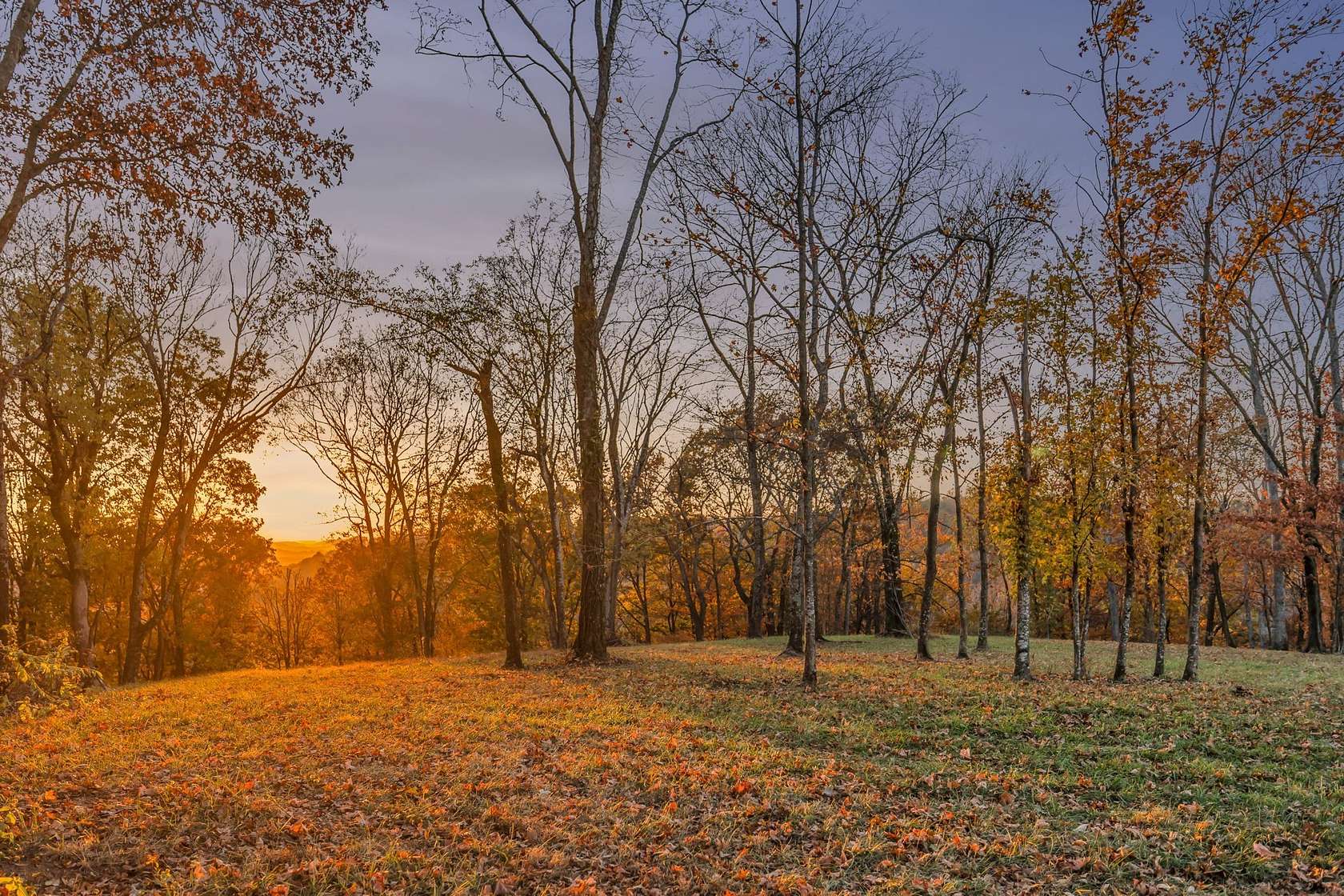 23.8 Acres of Recreational & Residential Land for Sale in Nolensville, Tennessee