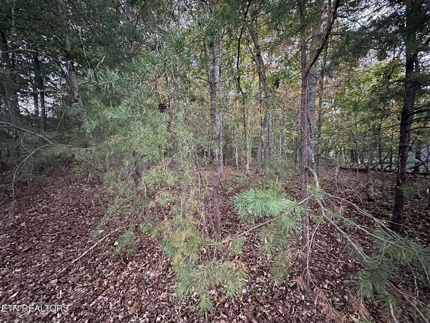 0.33 Acres of Residential Land for Sale in Fairfield Glade, Tennessee