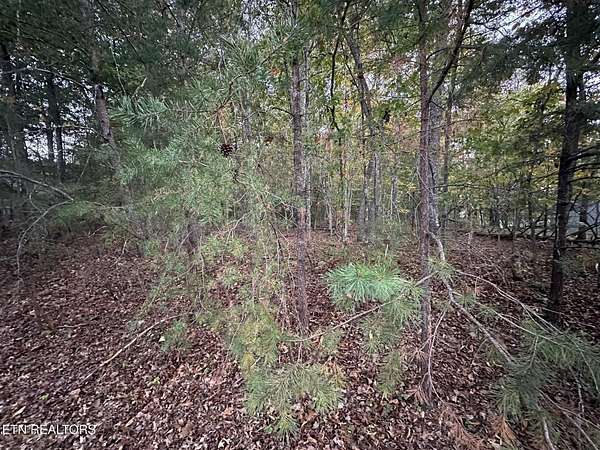 0.33 Acres of Residential Land for Sale in Fairfield Glade, Tennessee