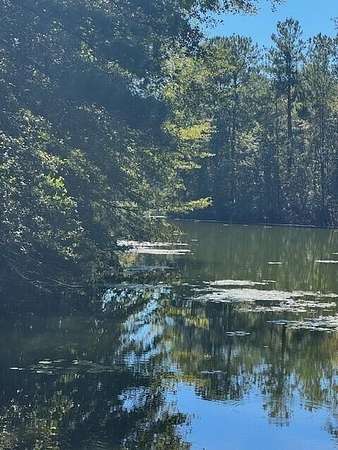 0.68 Acres of Residential Land for Sale in Elloree, South Carolina