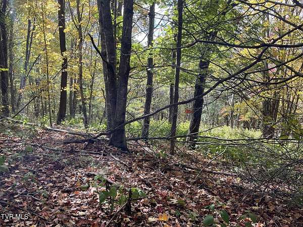 29.4 Acres of Land for Sale in Trade, Tennessee