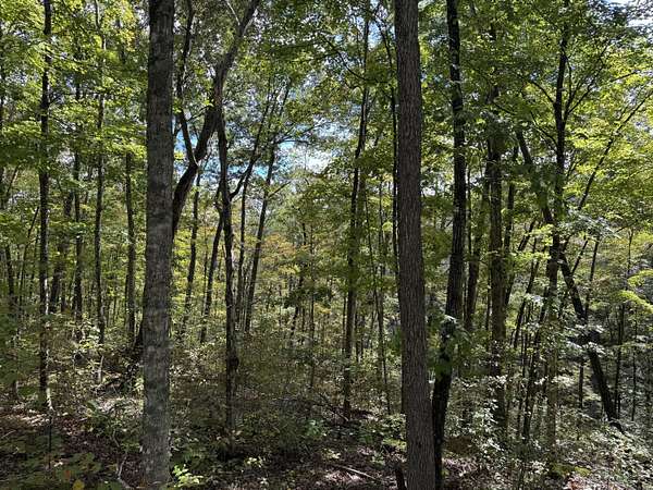 3.5 Acres of Residential Land for Sale in Monticello, Kentucky