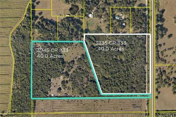 80 Acres of Agricultural Land for Sale in Clewiston, Florida