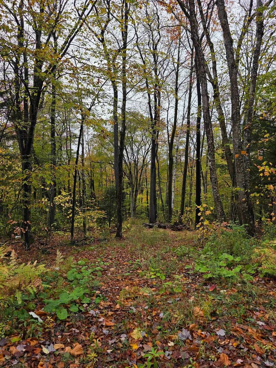 5.3 Acres of Residential Land for Sale in Readsboro, Vermont