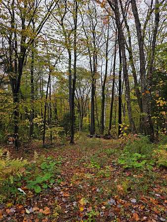 5.3 Acres of Residential Land for Sale in Readsboro, Vermont