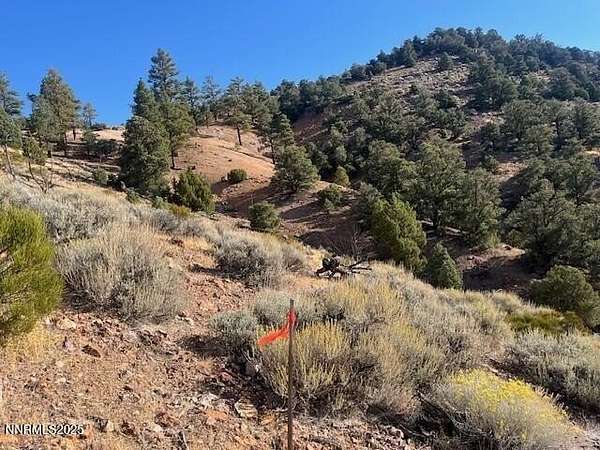 40 Acres of Land for Sale in Virginia City, Nevada