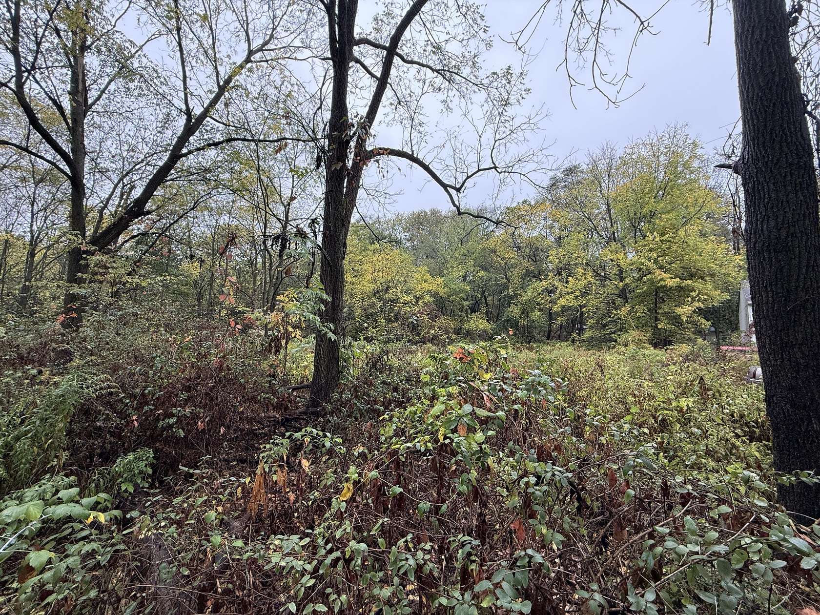 3.44 Acres of Mixed-Use Land for Sale in Plainwell, Michigan