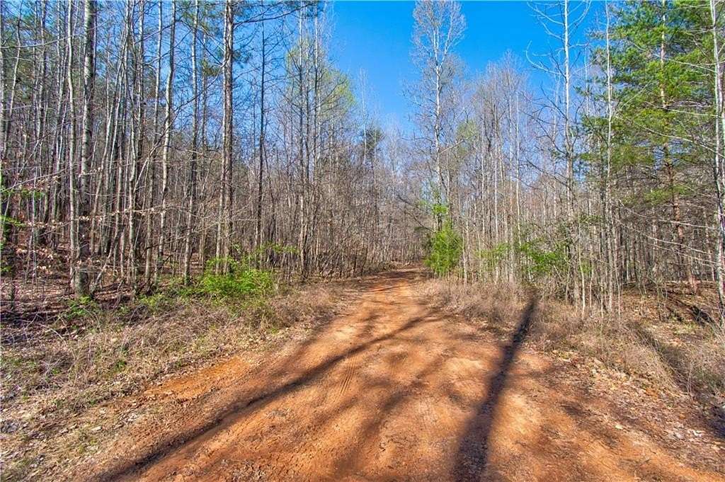 14.3 Acres of Land for Sale in Dahlonega, Georgia