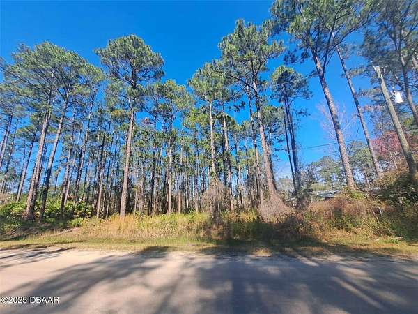 1 Acre of Land for Sale in Bunnell, Florida
