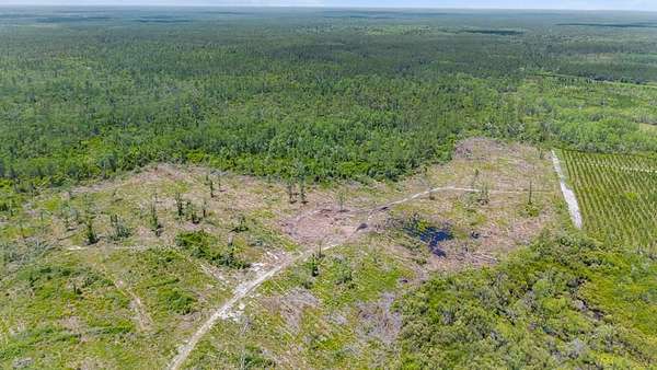 50 Acres of Recreational Land for Sale in Mayo, Florida