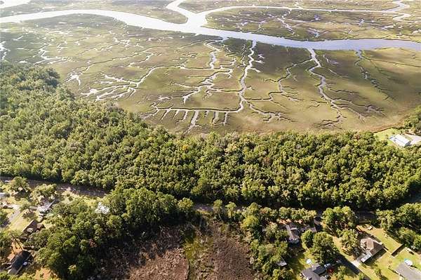 5 Acres of Residential Land for Sale in Woodbine, Georgia