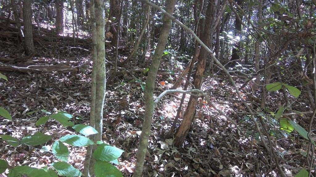 0.43 Acres of Residential Land for Sale in Whittier, North Carolina