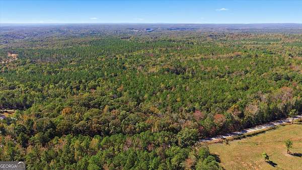 10 Acres of Land for Sale in Whitesburg, Georgia