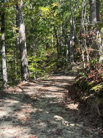 119 Acres of Land with Home for Sale in Bradfordsville, Kentucky