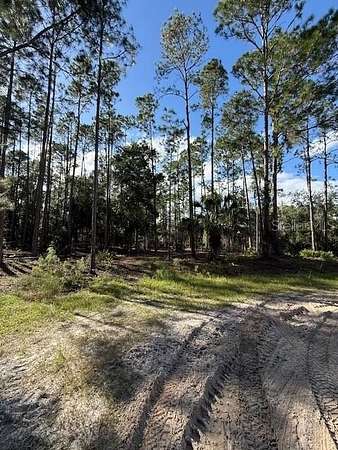 1 Acre of Residential Land for Sale in Georgetown, Florida