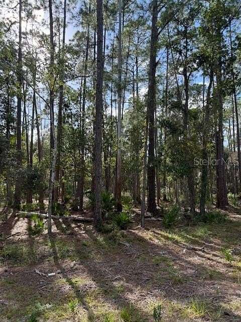 1 Acre of Residential Land for Sale in Georgetown, Florida