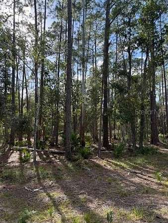 1 Acre of Residential Land for Sale in Georgetown, Florida