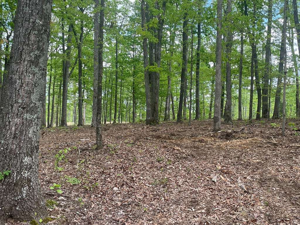 5 Acres of Land for Sale in Cumberland Furnace, Tennessee