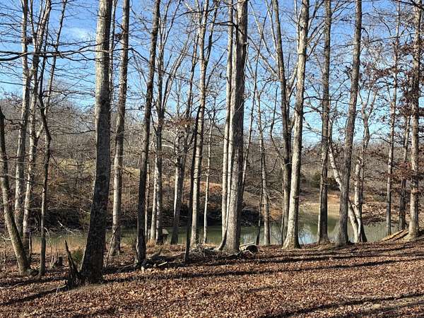 5 Acres of Residential Land for Sale in Cumberland Furnace, Tennessee