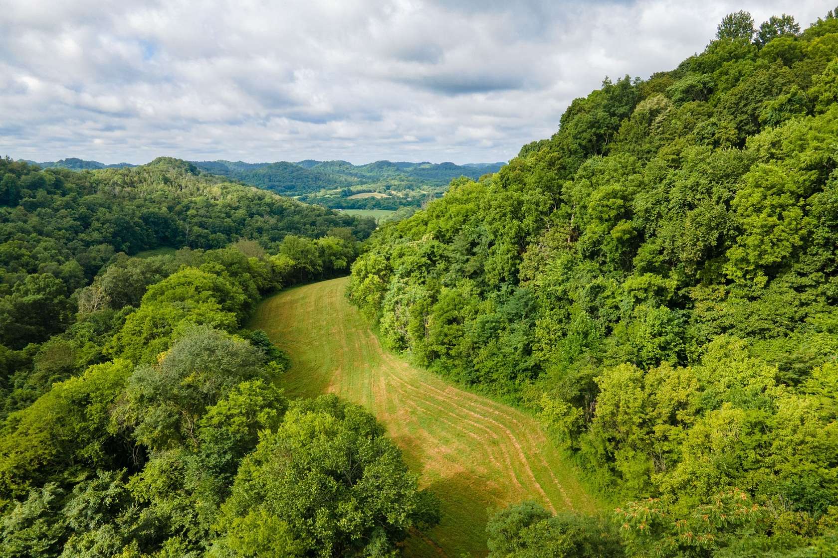 42 Acres of Land for Sale in Pleasant Shade, Tennessee