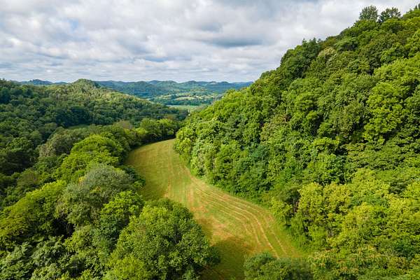 42 Acres of Land for Sale in Pleasant Shade, Tennessee