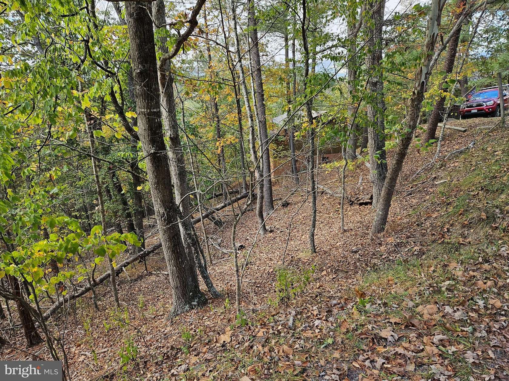 0.68 Acres of Land for Sale in Basye, Virginia