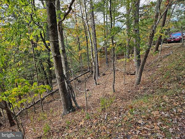 0.68 Acres of Land for Sale in Basye, Virginia