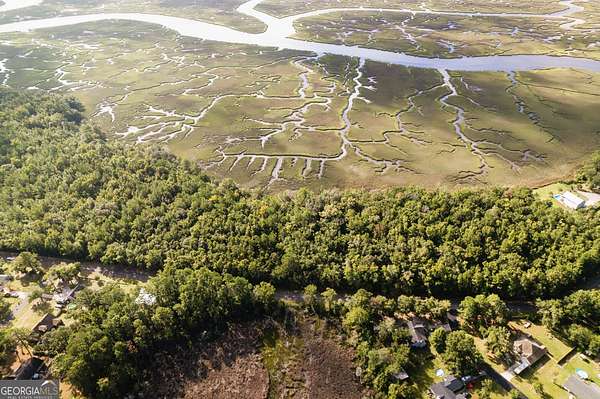 5 Acres of Residential Land for Sale in Woodbine, Georgia