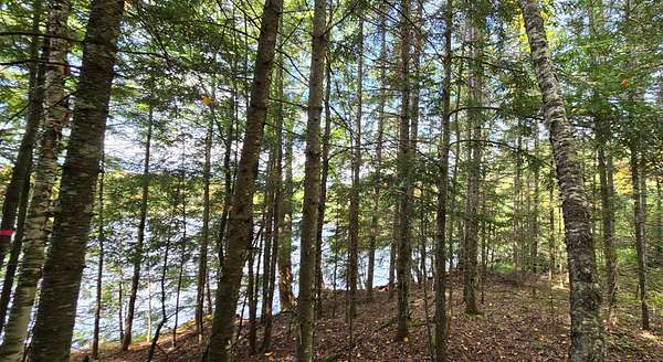 2.24 Acres of Residential Land for Sale in Presque Isle, Wisconsin