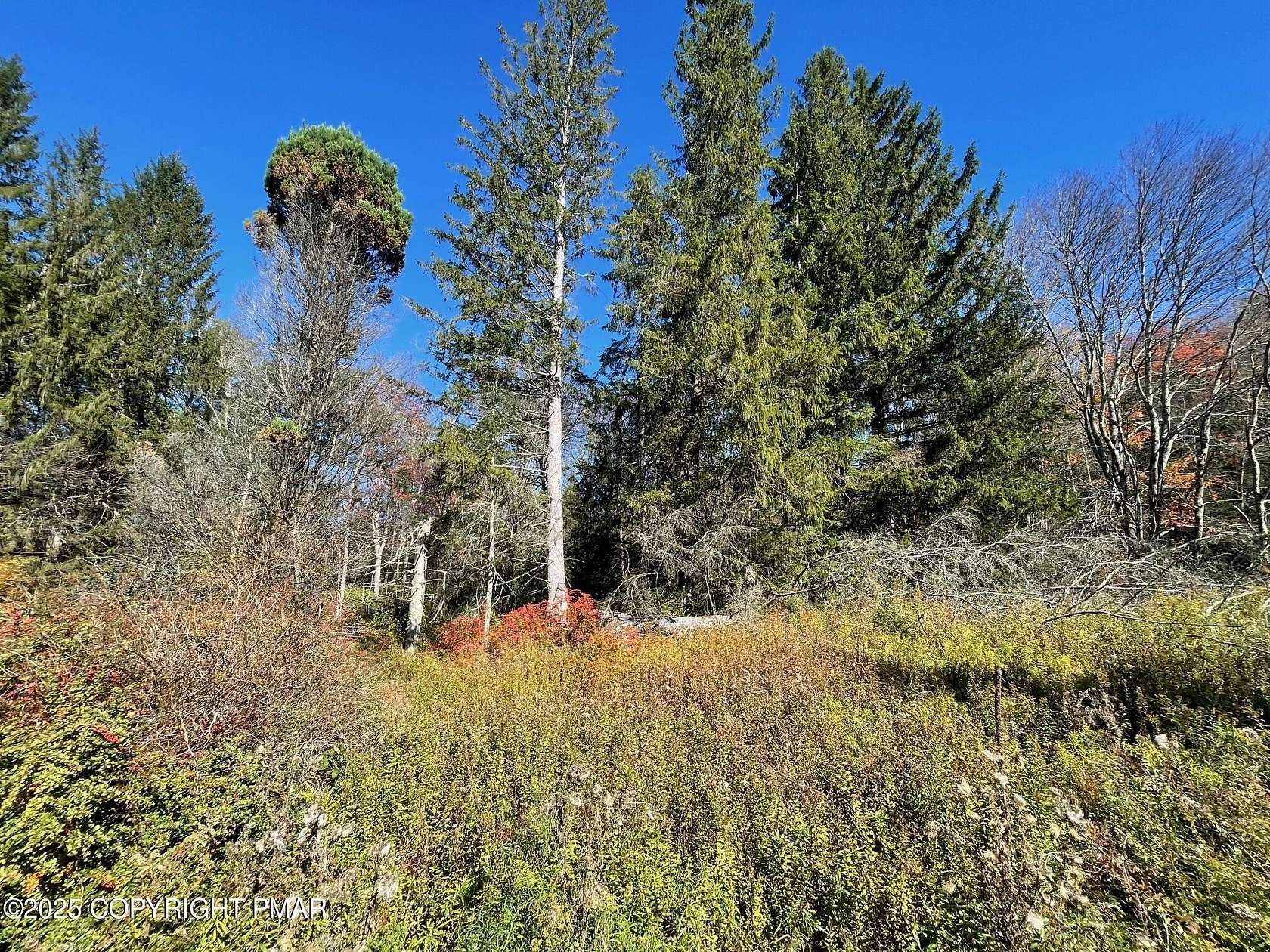 1 Acre of Residential Land for Sale in Albrightsville, Pennsylvania