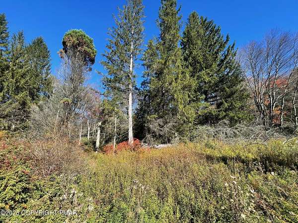 1 Acre of Residential Land for Sale in Albrightsville, Pennsylvania