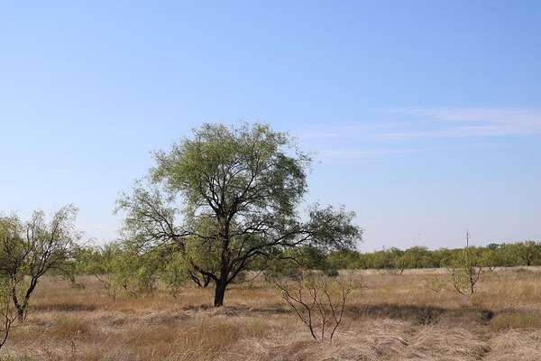 73.9 Acres of Recreational Land for Sale in Ballinger, Texas