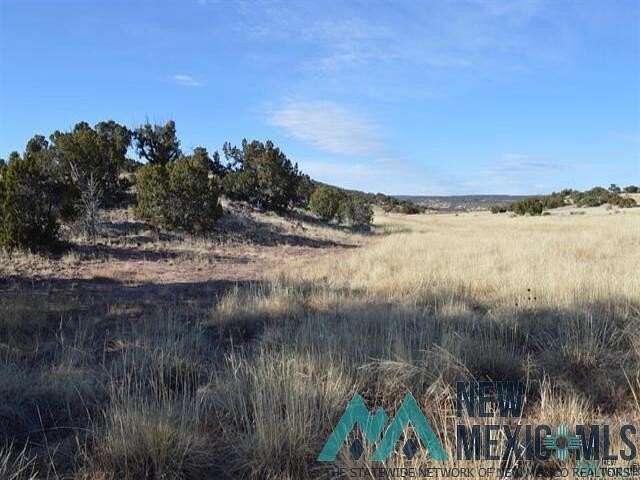 12.5 Acres of Land for Sale in Prewitt, New Mexico