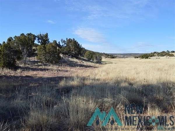12.5 Acres of Land for Sale in Prewitt, New Mexico