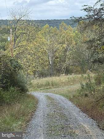30.9 Acres of Recreational Land for Sale in Berkeley Springs, West Virginia