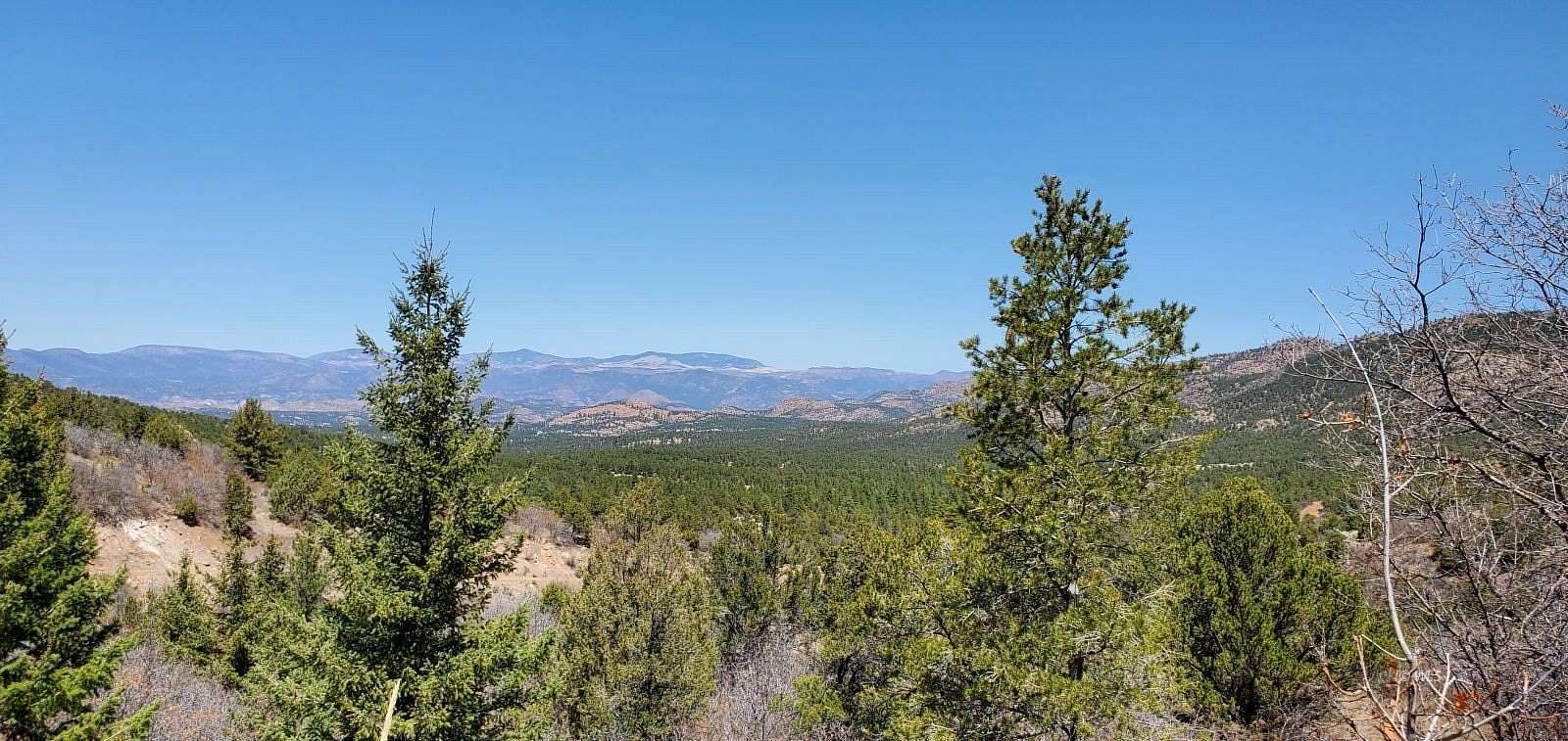 35.2 Acres of Recreational & Residential Land for Sale in Cotopaxi, Colorado