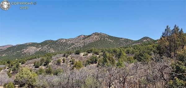 35.2 Acres of Recreational Land for Sale in Cotopaxi, Colorado