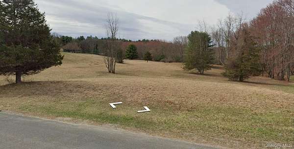 10 Acres of Residential Land for Sale in Otisville, New York