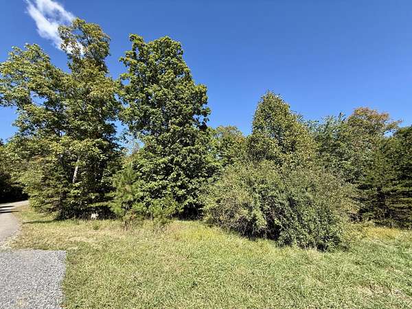 5 Acres of Land for Sale in Palmer, Tennessee