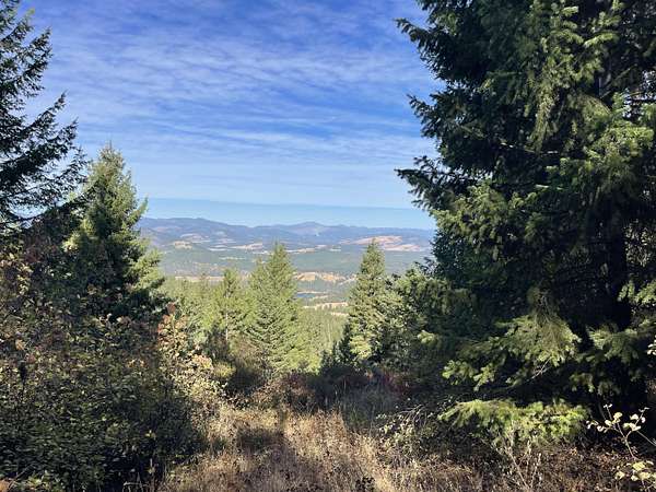 60 Acres of Recreational Land for Sale in Hunters, Washington