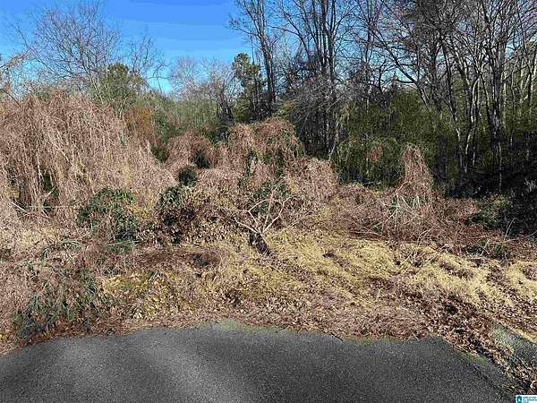 Land for Sale in Fultondale, Alabama