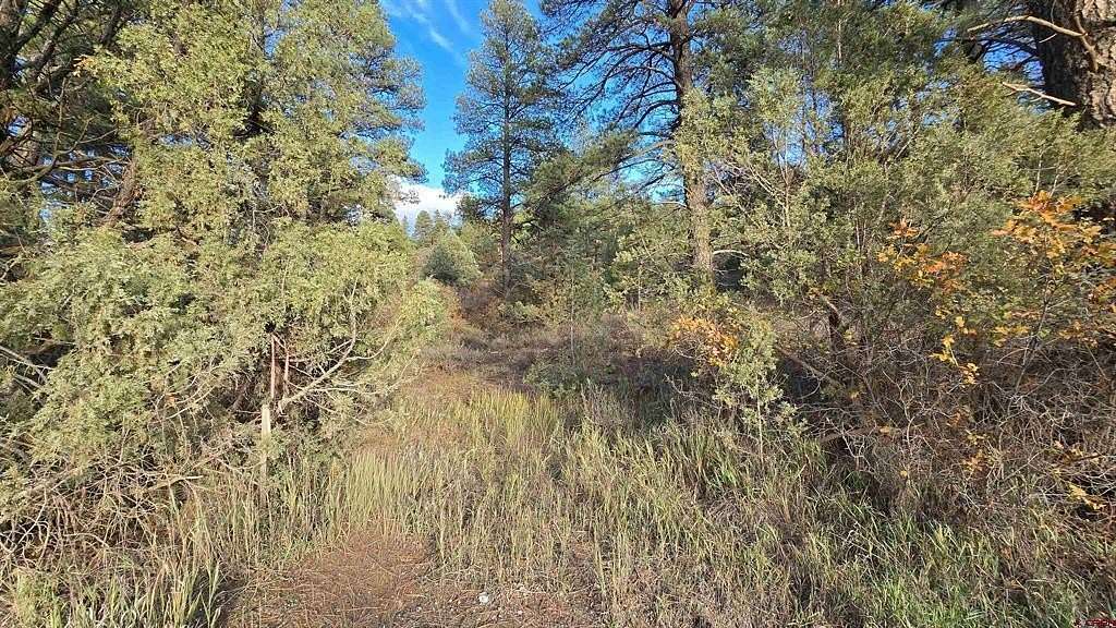 3.74 Acres of Land for Sale in Pagosa Springs, Colorado