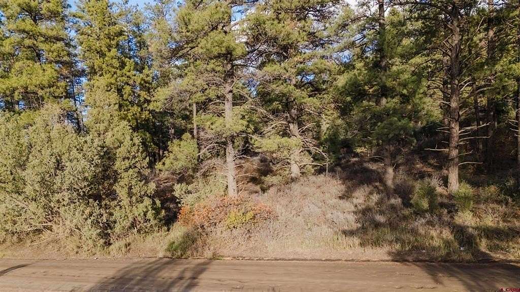 3.74 Acres of Land for Sale in Pagosa Springs, Colorado
