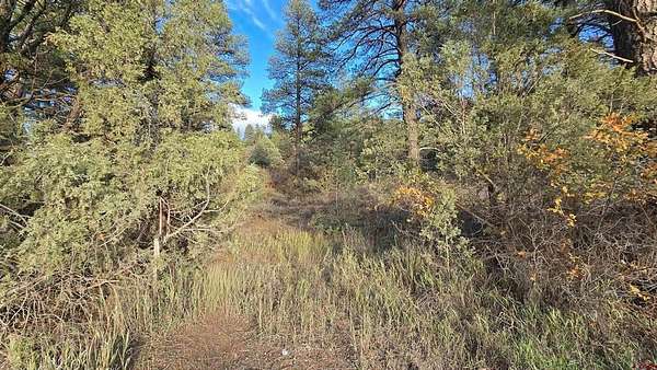 3.74 Acres of Residential Land for Sale in Pagosa Springs, Colorado