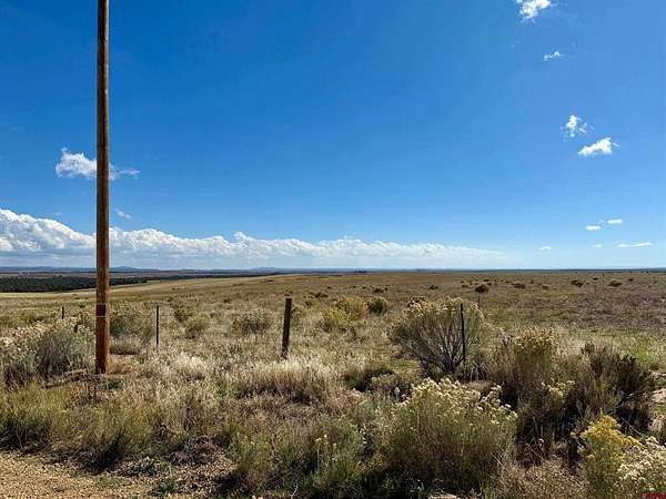 40.7 Acres of Land for Sale in Hesperus, Colorado