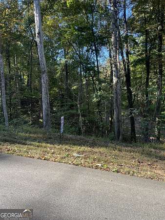 0.32 Acres of Residential Land for Sale in Gainesville, Georgia